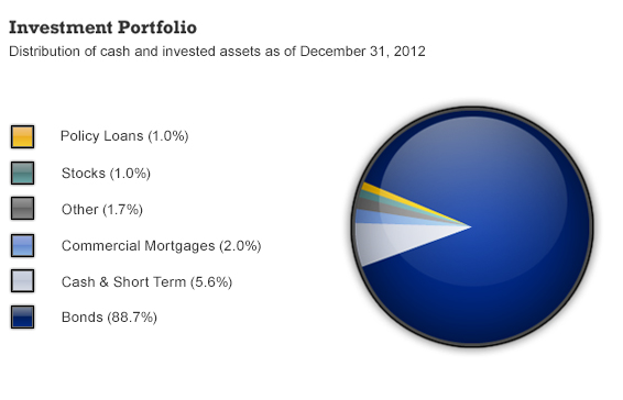 Investment Portfolio