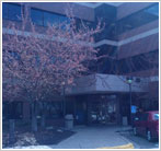 Woodbury, MN Insurance Office | Liberty Mutual