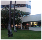 Aiea, HI Insurance Office | Liberty Mutual