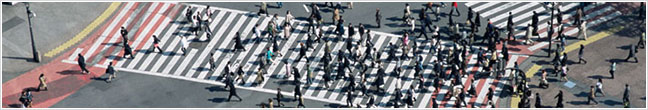 Distracted Walking
