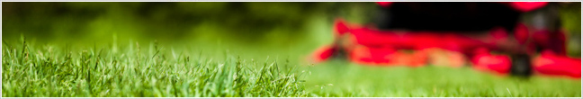 Green Living at Home