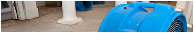 Water Mitigation Services