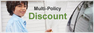 Multi-Policy Insurance Discount