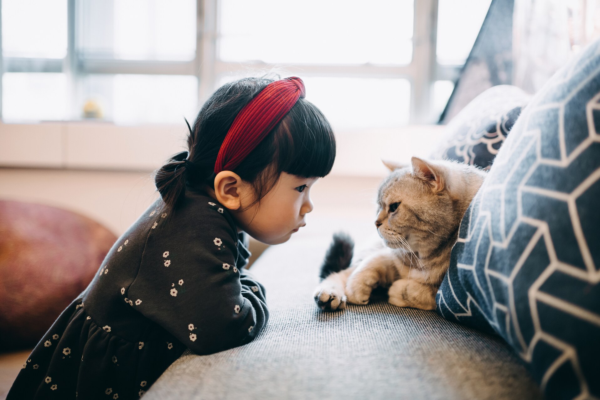 a young girl and a cat
