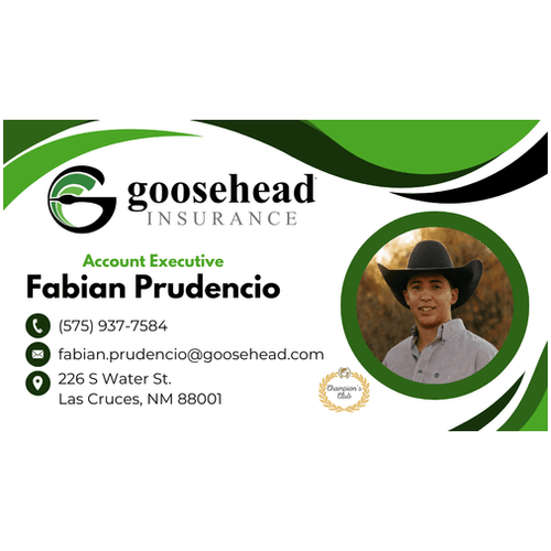 FABIAN PRUDENCIO, Independent Insurance Agent