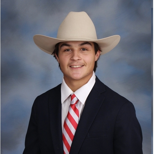 Keenan Ceremuga-Ybarra, Comparion Insurance Agent