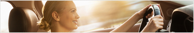 Car Insurance Quotes