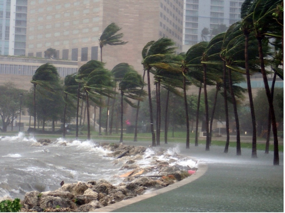 Rocky shoreline during a storm