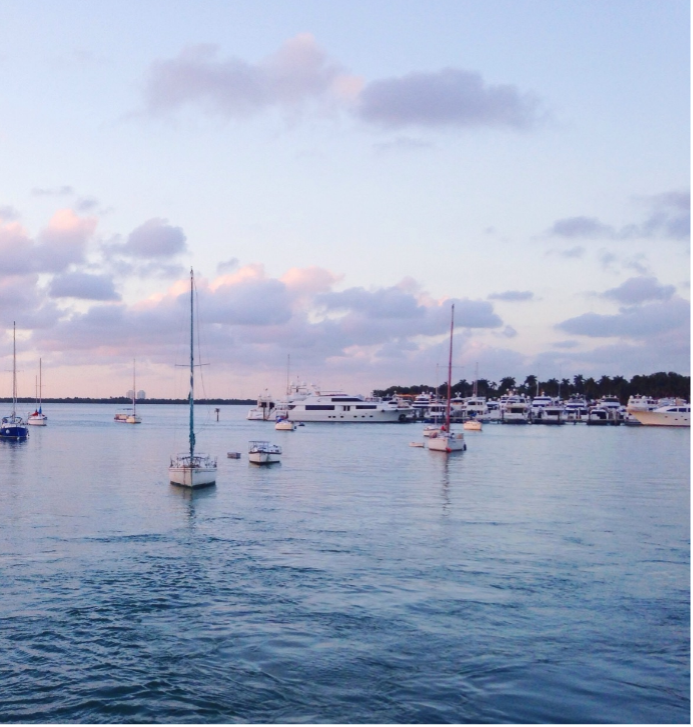 Variety of boats in the water