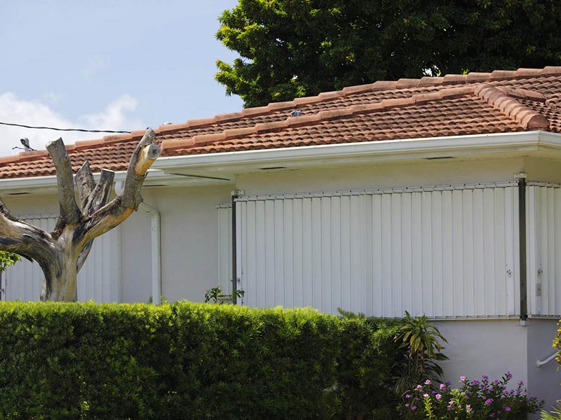 Roof and tree that have been damaged by a hurricane