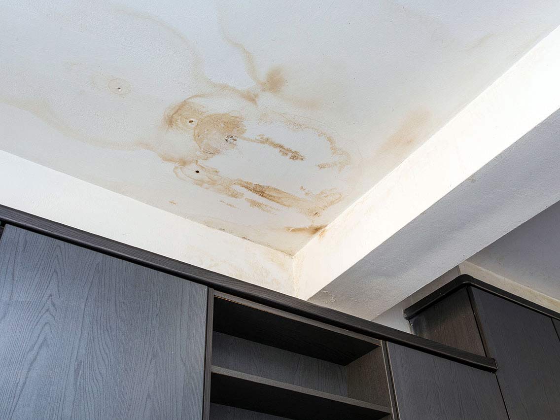 water stained ceiling with mold