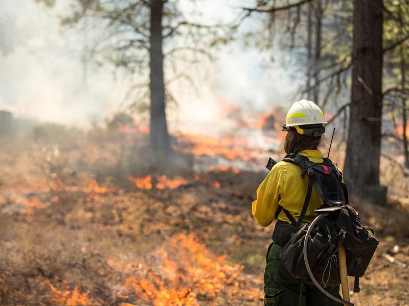 Person fighting a wildfire