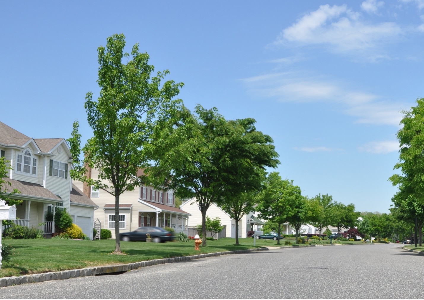 Residential street with houses on one side