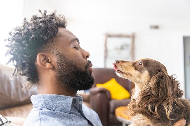 when to get pet insurance article image
