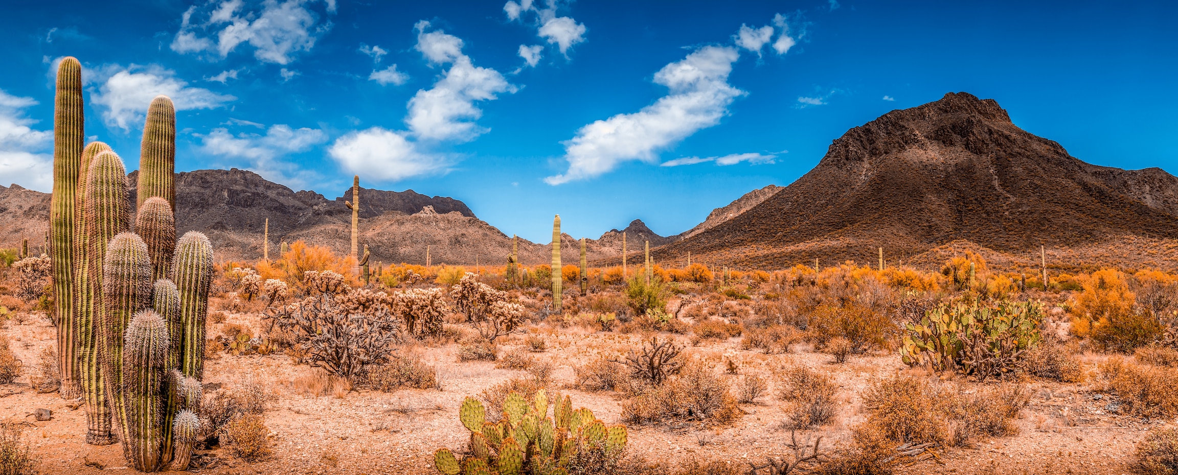 View of monument valley in Arizona
