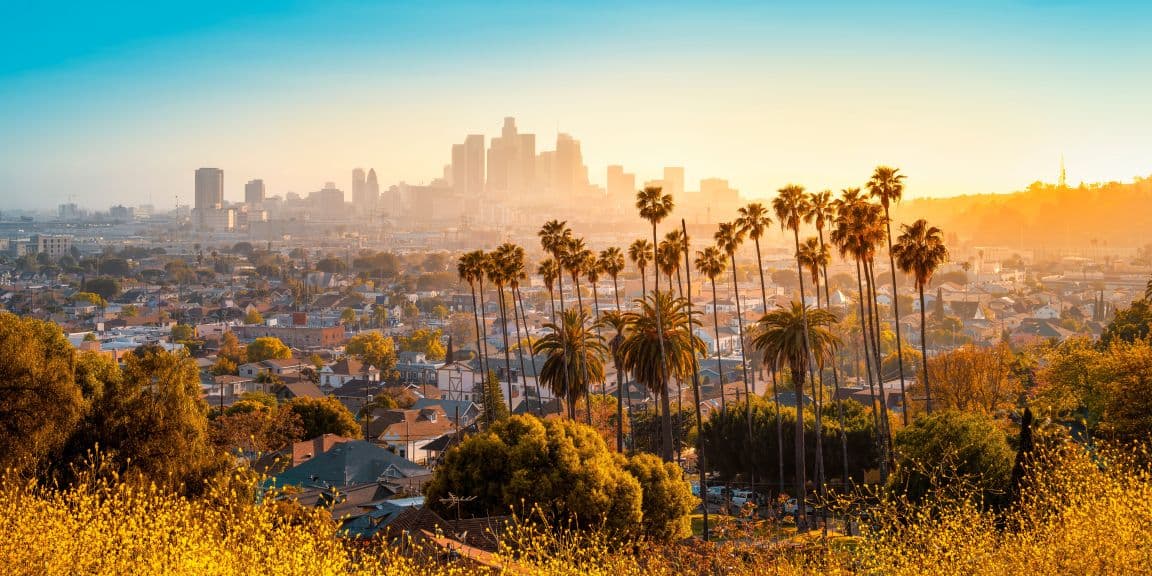 View of LA Skyline with palm trees in the foreground
