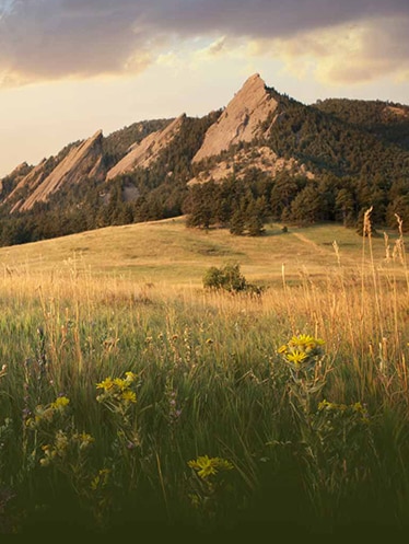 Colorado mountains overlooking meadow