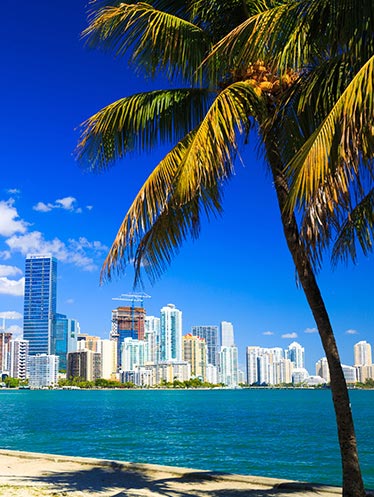 Sunny beach in Miami