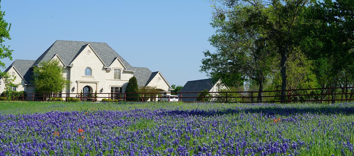 white house with large fenced field with purple flowers