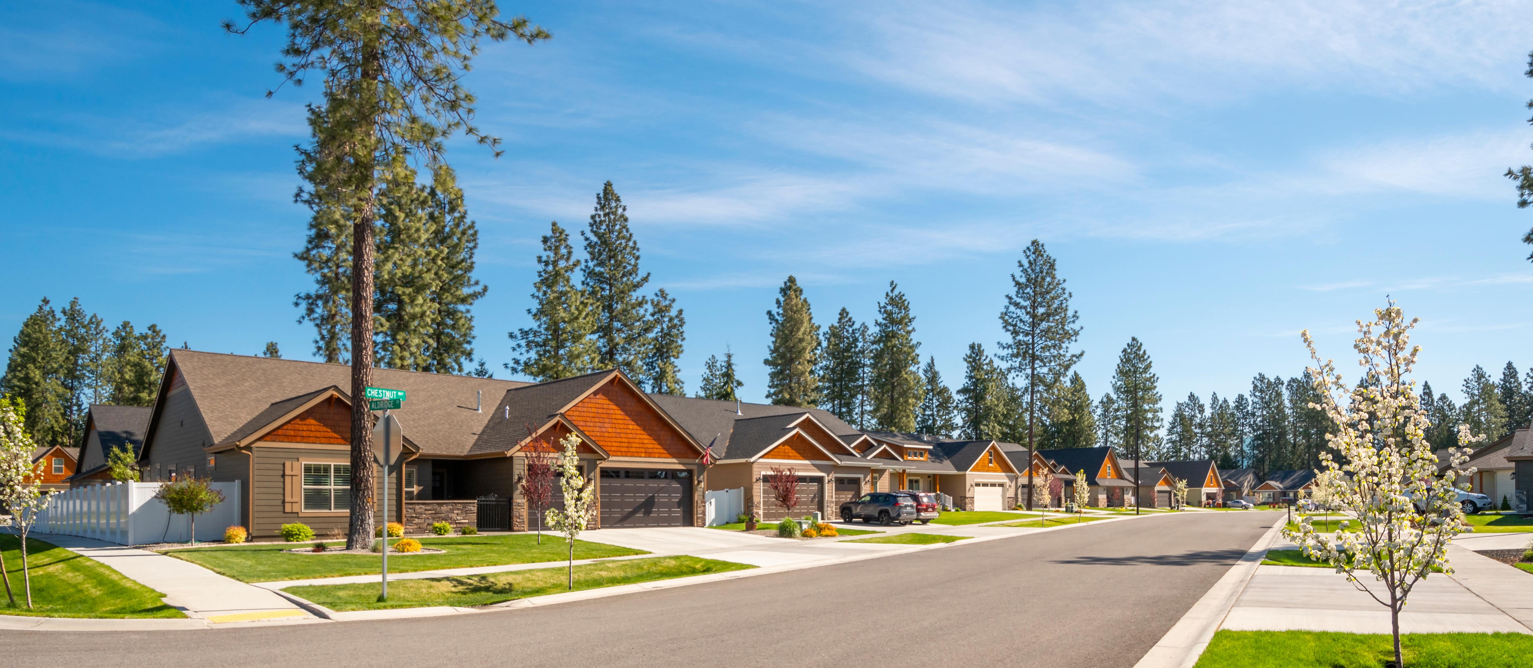 Row of homes in Idaho