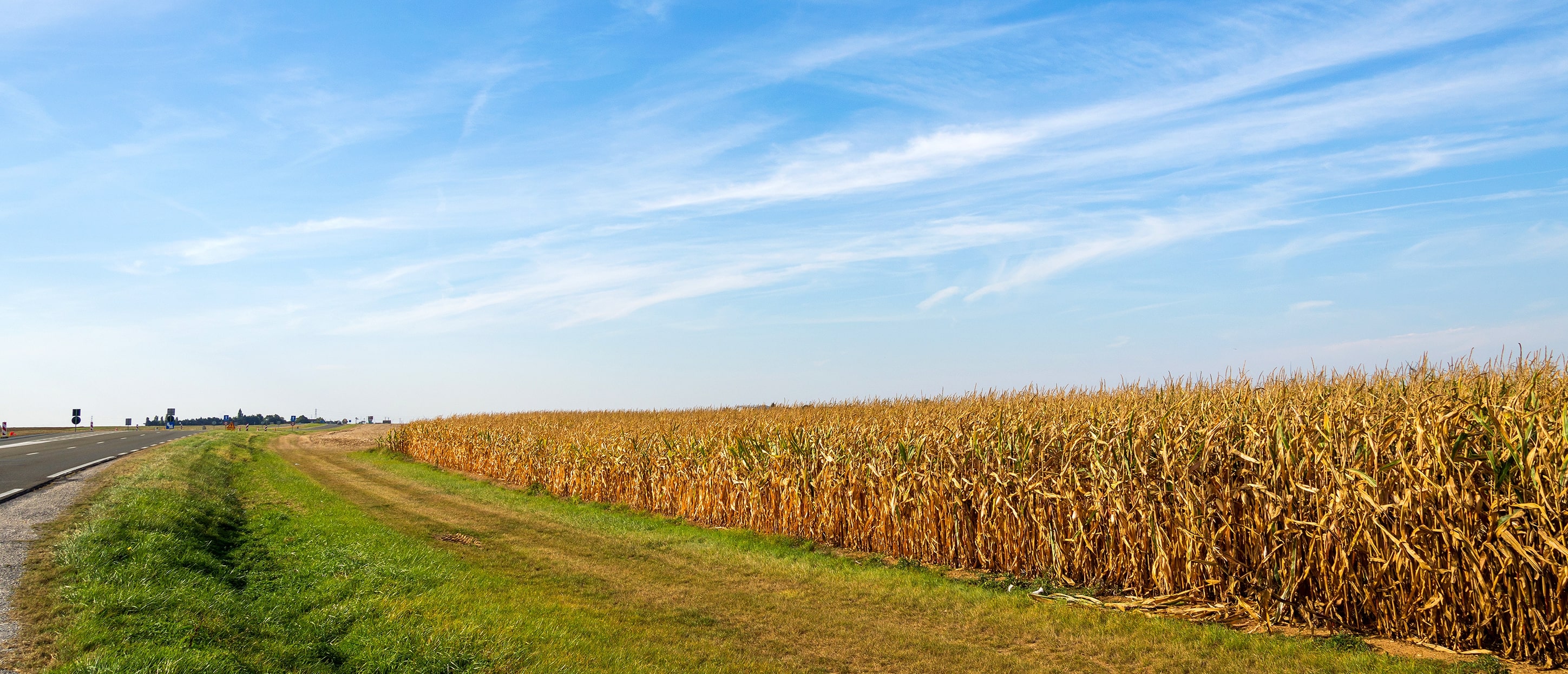 Farmland in Indiana