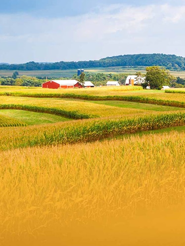 Hilly Iowa meadow on a sunny summer day