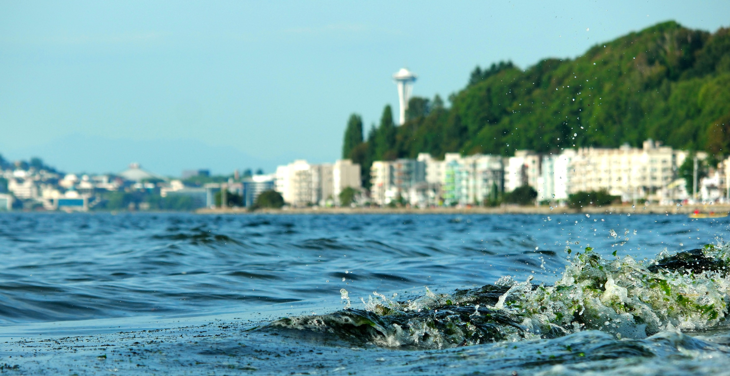 Seattle skyline from union lake waterfront