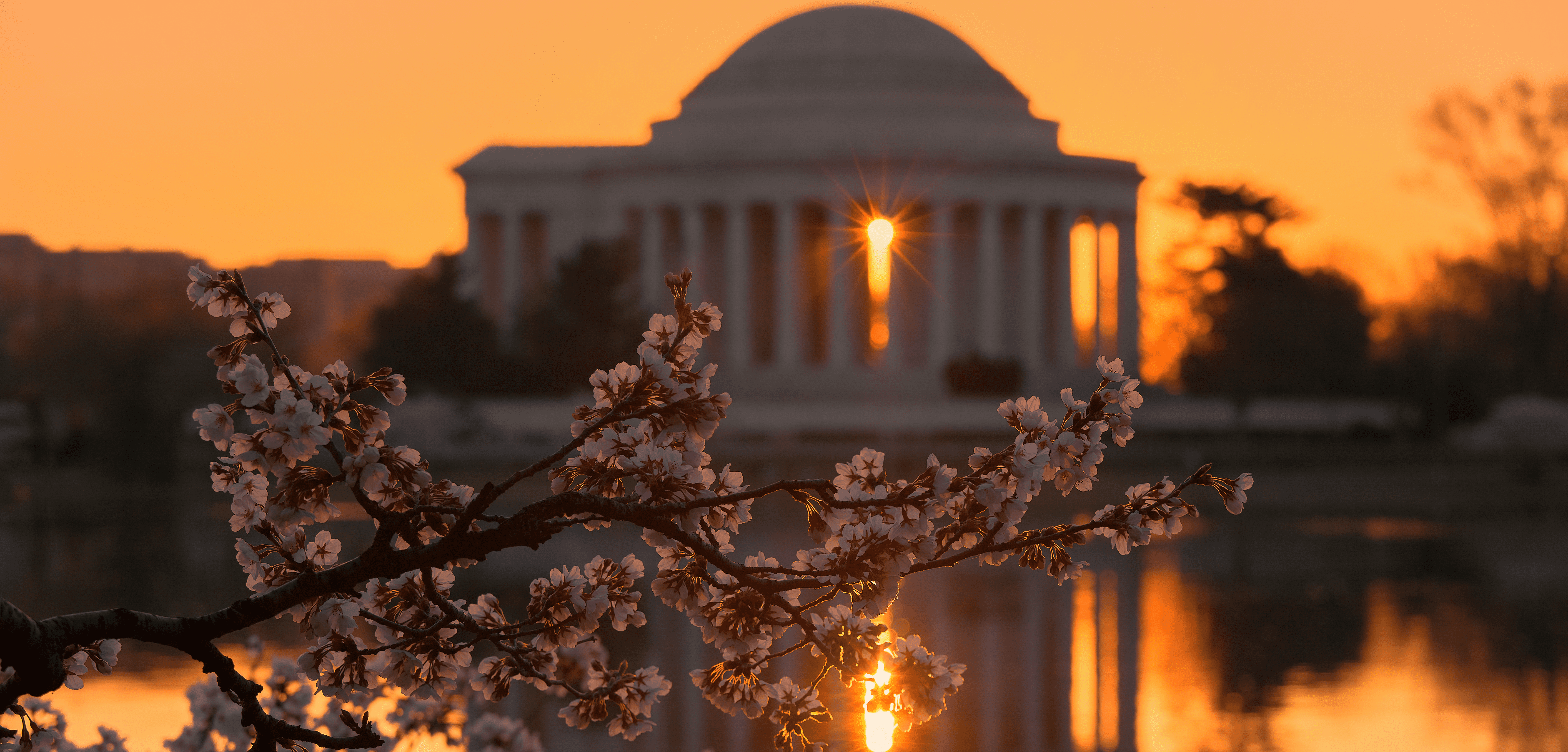 The Jefferson Memorial in Washington DC