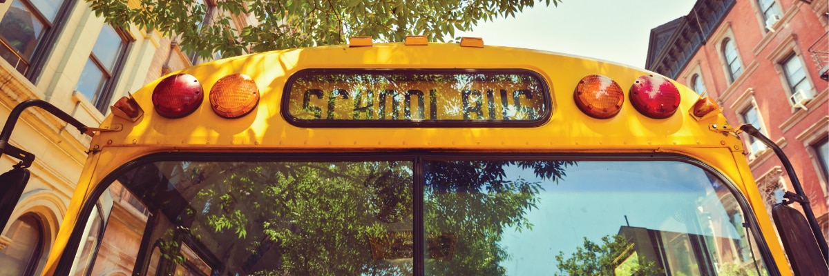 school bus school bus