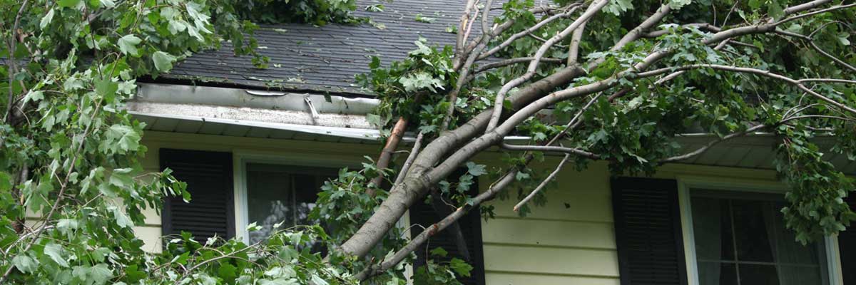 Our Blog Safeco Insurance