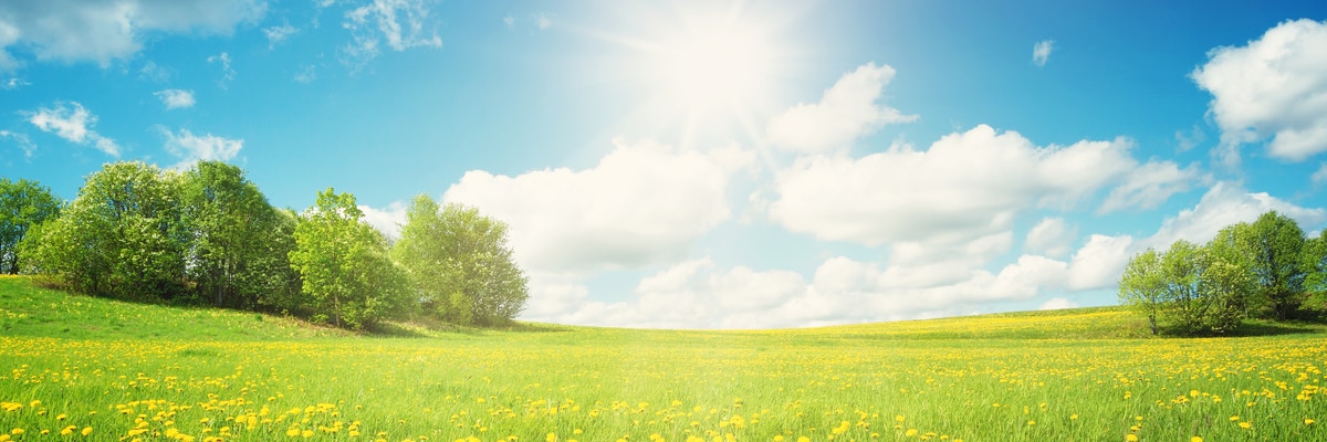 prepare your home for warmer weather prepare your home for warmer weather