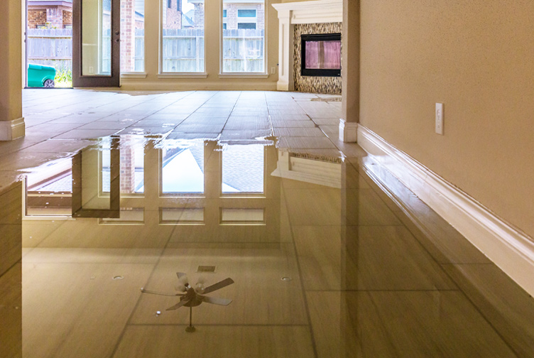 Water creates damage on a hardwood floor.