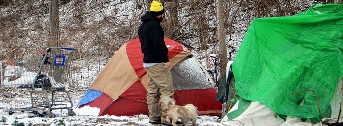 reuniting dog with homeless owner