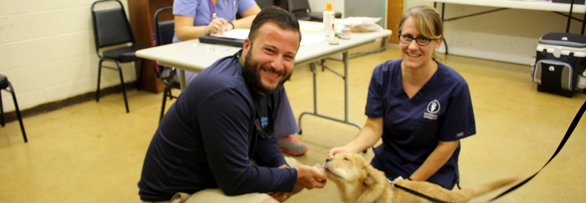 helping out at a pet health clinic