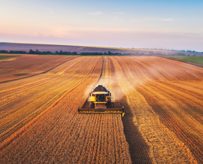 A large farm combine in a field harvesting a crop.